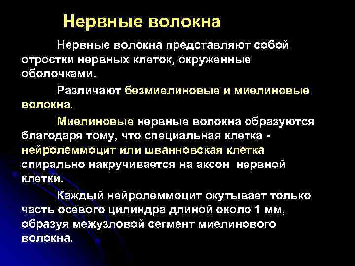 Нервные волокна представляют собой отростки нервных клеток, окруженные оболочками. Различают безмиелиновые и миелиновые волокна.
