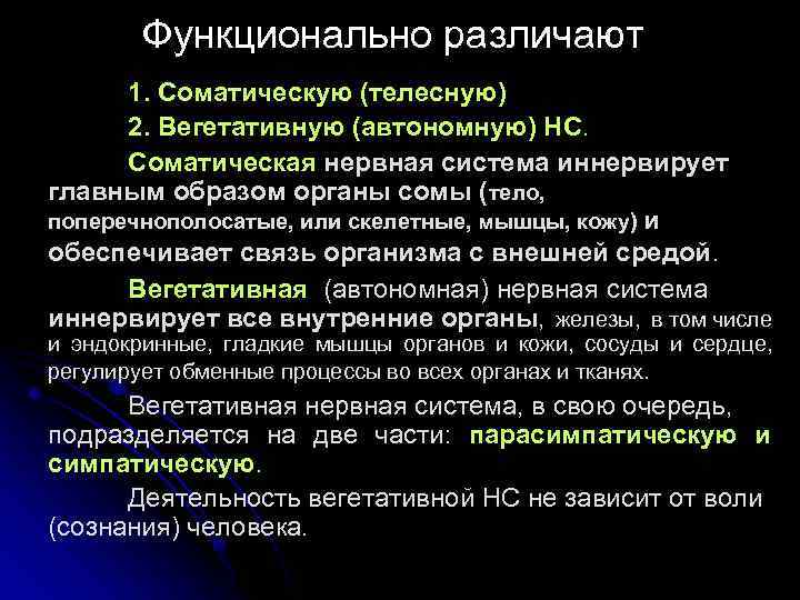 Функционально различают 1. Соматическую (телесную) 2. Вегетативную (автономную) НС. Соматическая нервная система иннервирует главным