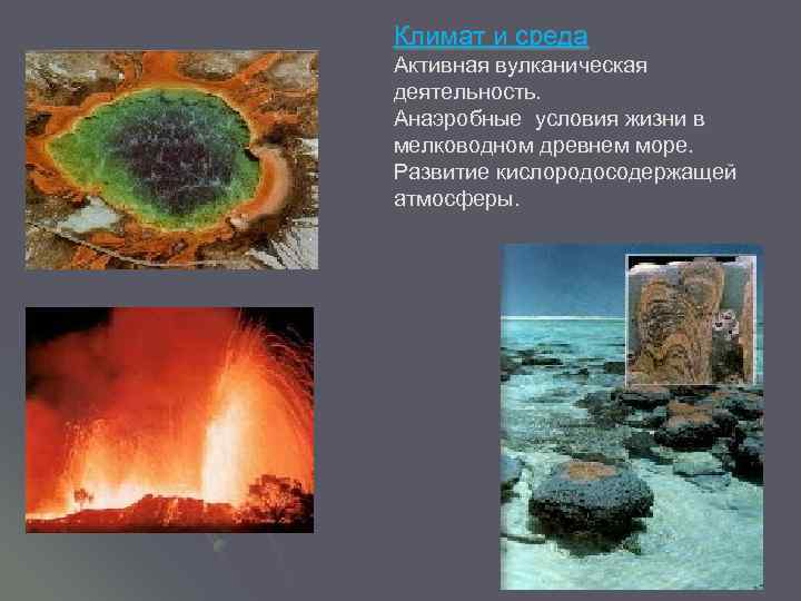 Климат и среда Активная вулканическая деятельность. Анаэробные условия жизни в мелководном древнем море. Развитие