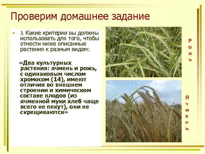 Проверим домашнее задание • Какие критерии вы должны использовать для того, чтобы отнести ниже