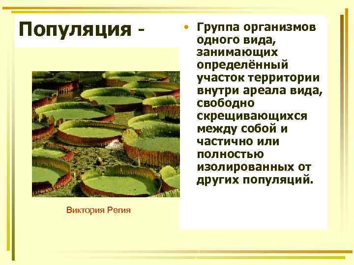 Популяция - Виктория Регия • Группа организмов одного вида, занимающих определённый участок территории внутри