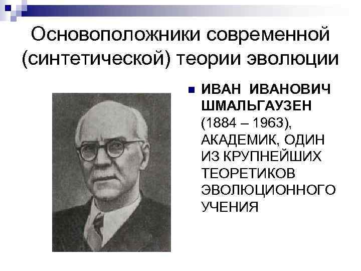 Основоположники современной (синтетической) теории эволюции n ИВАНОВИЧ ШМАЛЬГАУЗЕН (1884 – 1963), АКАДЕМИК, ОДИН ИЗ