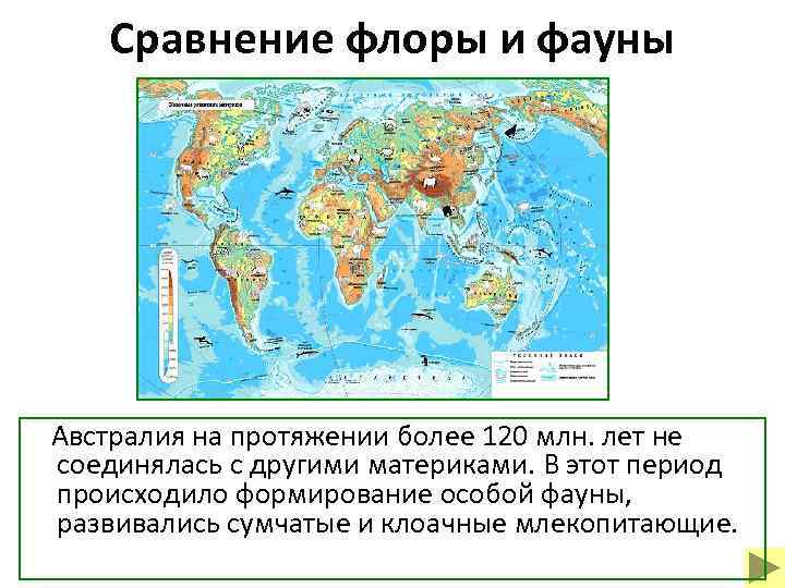 Сравнение флоры и фауны Австралия на протяжении более 120 млн. лет не соединялась с