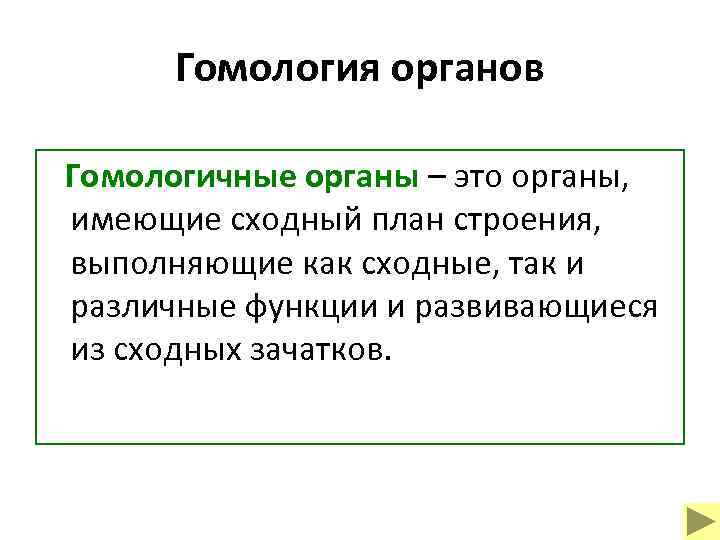 Гомология органов Гомологичные органы – это органы, имеющие сходный план строения, выполняющие как сходные,