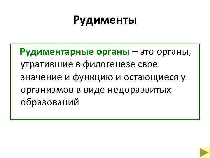 Рудименты Рудиментарные органы – это органы, утратившие в филогенезе свое значение и функцию и