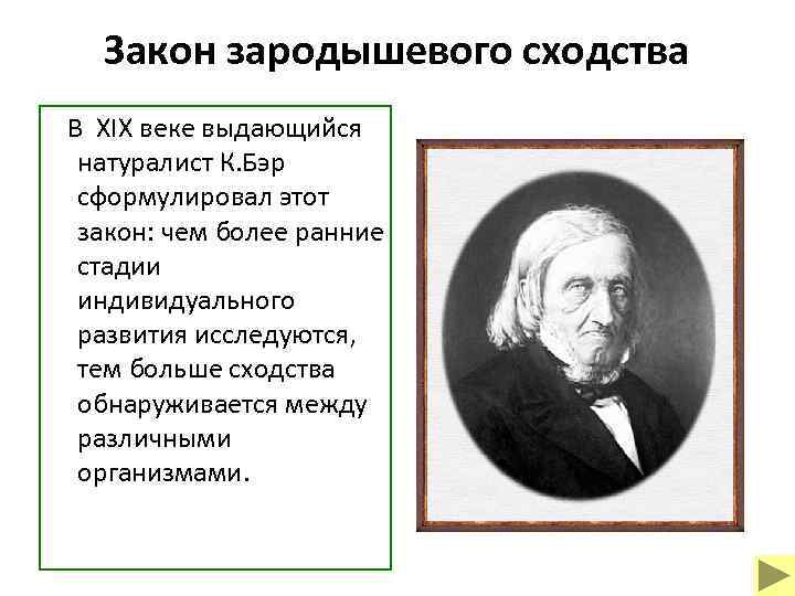 Закон зародышевого сходства В XIX веке выдающийся натуралист К. Бэр сформулировал этот закон: чем
