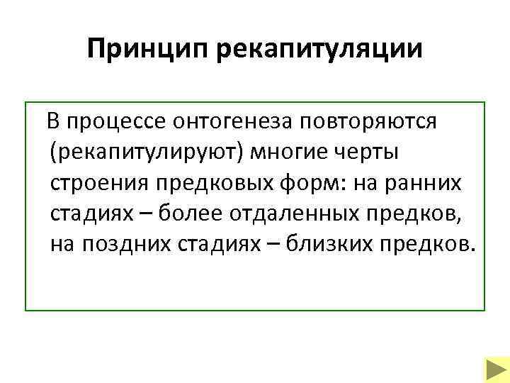 Принцип рекапитуляции В процессе онтогенеза повторяются (рекапитулируют) многие черты строения предковых форм: на ранних