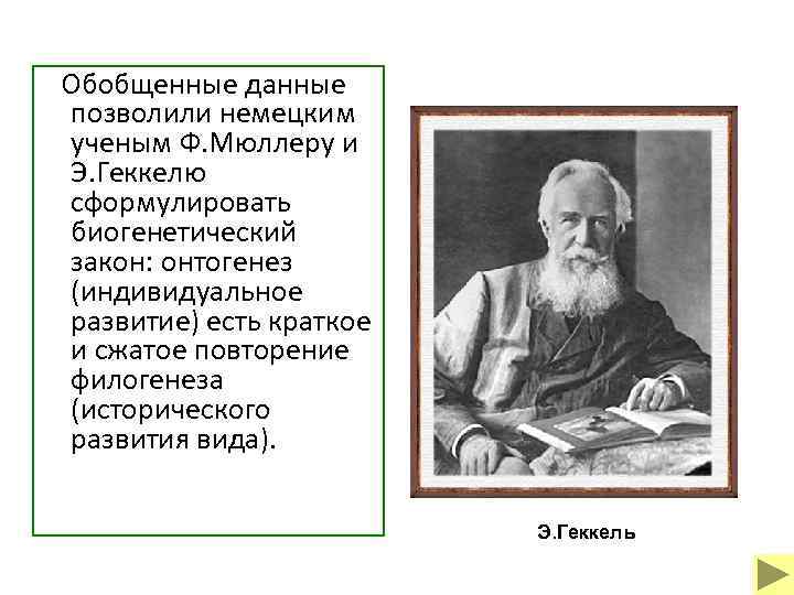  Обобщенные данные позволили немецким ученым Ф. Мюллеру и Э. Геккелю сформулировать биогенетический закон: