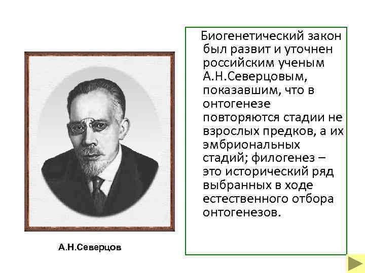  Биогенетический закон был развит и уточнен российским ученым А. Н. Северцовым, показавшим, что