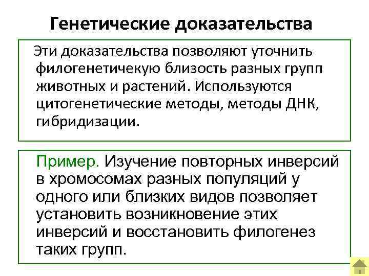 Генетические доказательства Эти доказательства позволяют уточнить филогенетичекую близость разных групп животных и растений. Используются