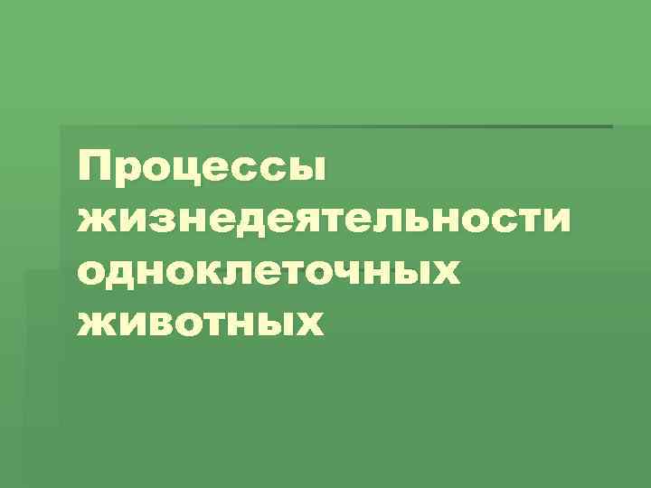 Процессы жизнедеятельности одноклеточных животных 
