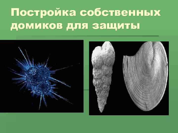 Постройка собственных домиков для защиты 