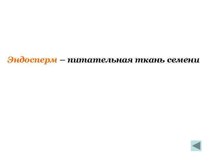 Эндосперм – питательная ткань семени 