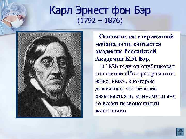 Карл Эрнест фон Бэр (1792 – 1876) Основателем современной эмбриологии считается академик Российской Академии