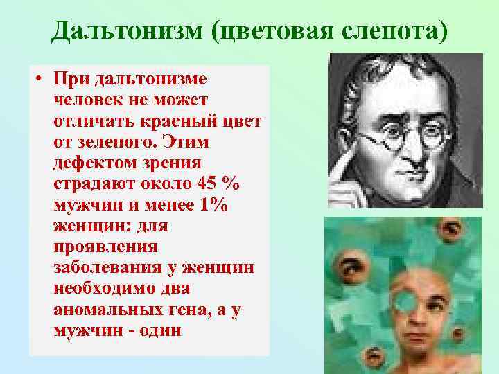 Дальтонизм (цветовая слепота) • При дальтонизме человек не может отличать красный цвет от зеленого.