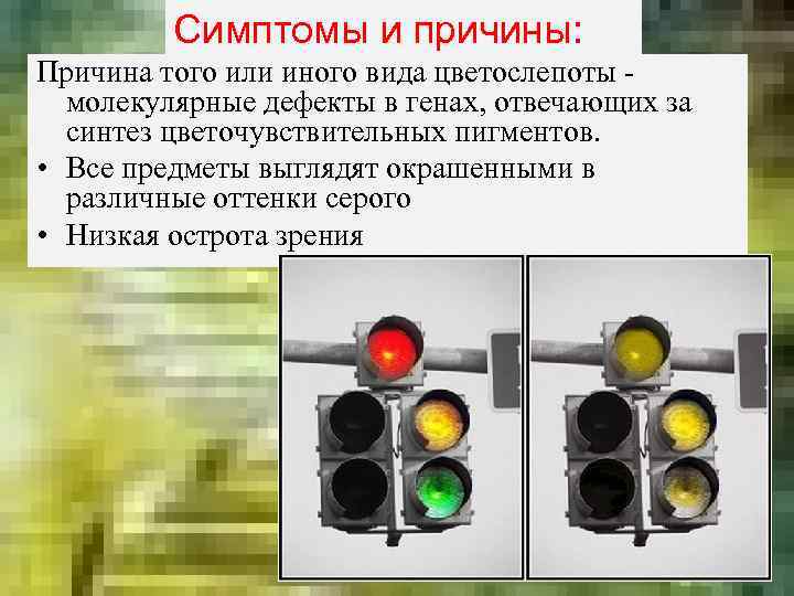 Симптомы и причины: Причина того или иного вида цветослепоты молекулярные дефекты в генах, отвечающих