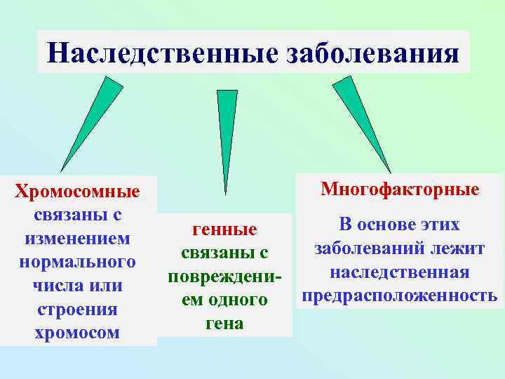 Наследственные заболевания Хромосомные связаны с изменением нормального числа или строения хромосом Многофакторные генные связаны