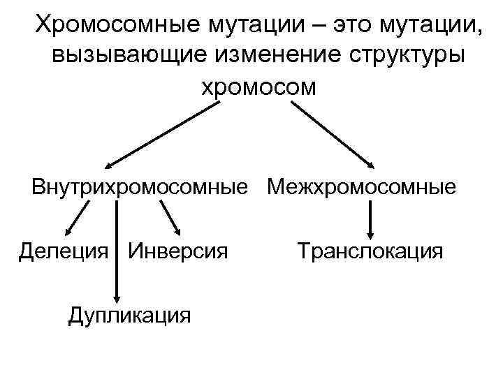 Хромосомные мутации – это мутации, вызывающие изменение структуры хромосом Внутрихромосомные Межхромосомные Делеция Инверсия Дупликация