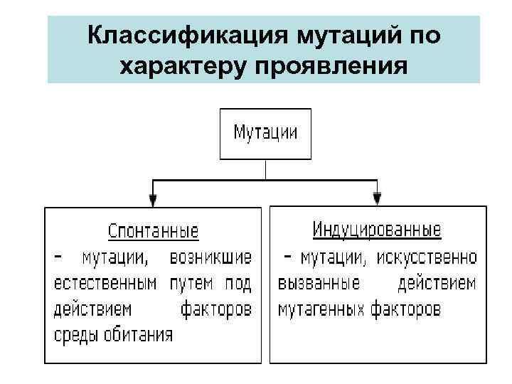 Классификация мутаций по характеру проявления 