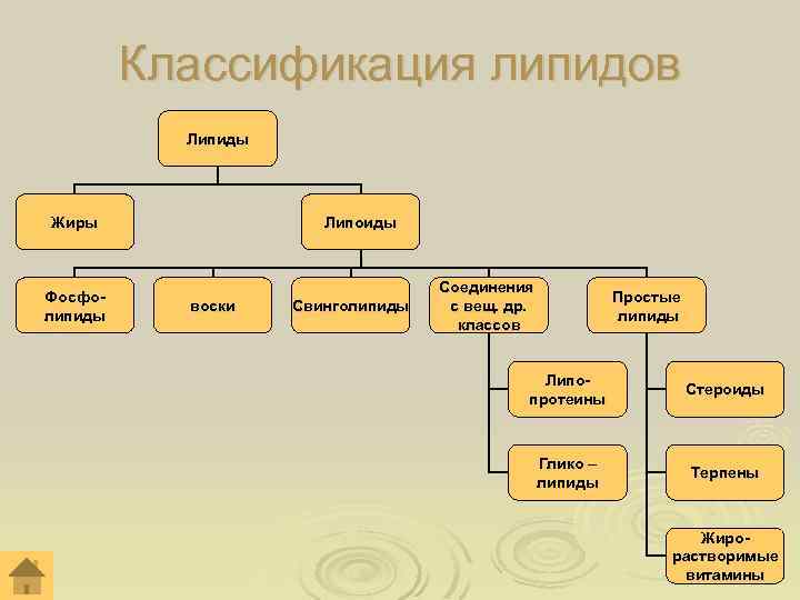 Классификация липидов Липиды Жиры Фосфолипиды Липоиды воски Свинголипиды Соединения с вещ. др. классов Простые