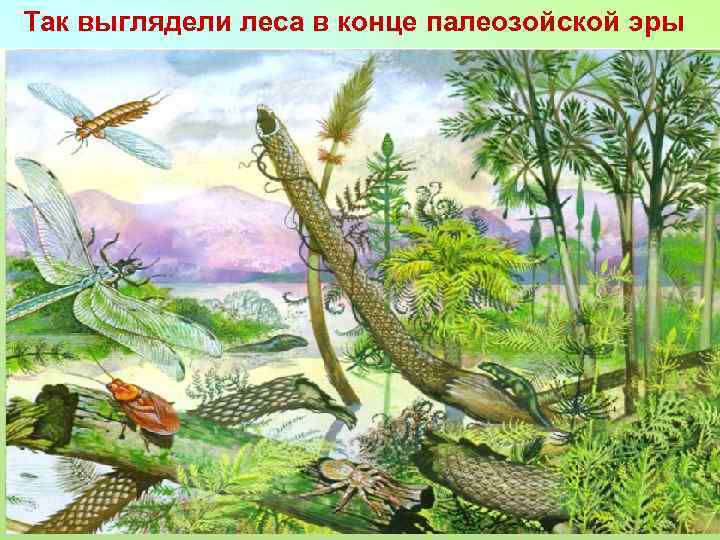 Так выглядели леса в конце палеозойской эры 