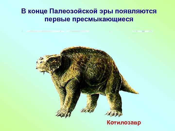В конце Палеозойской эры появляются первые пресмыкающиеся Котилозавр 