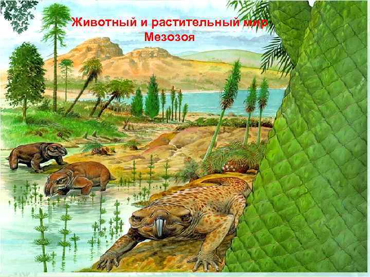 Животный и растительный мир Мезозоя 