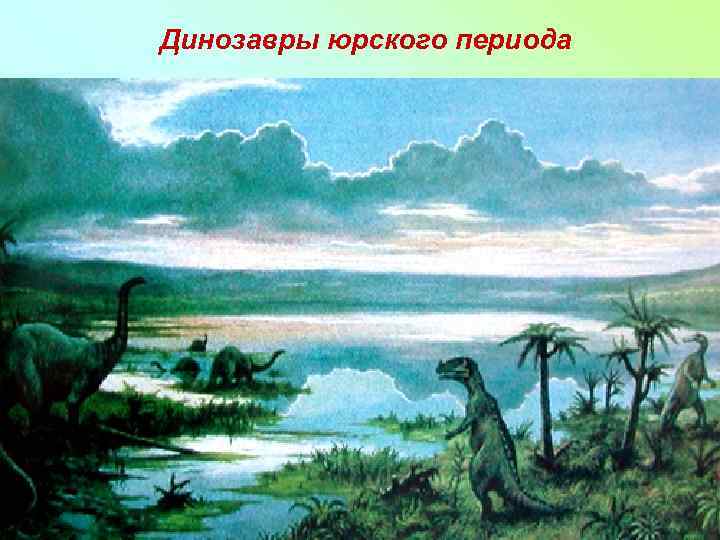 Динозавры юрского периода 