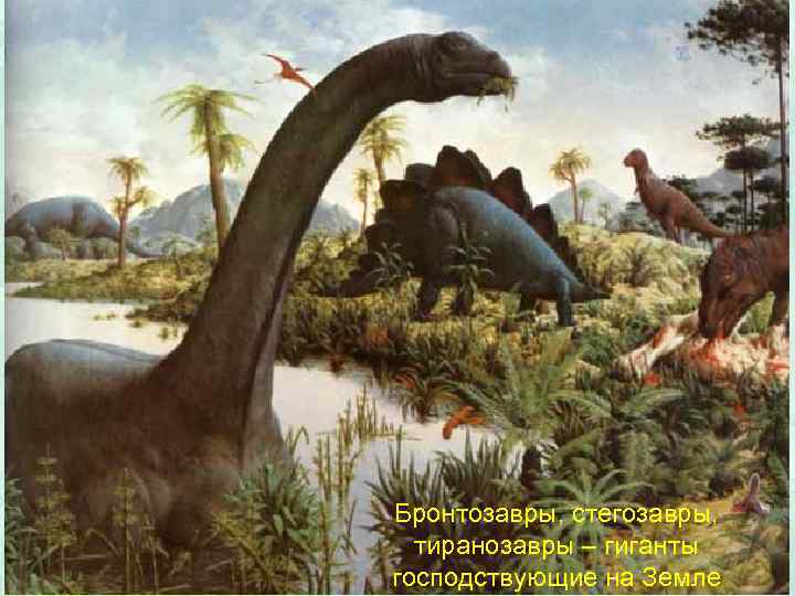 Бронтозавры, стегозавры, тиранозавры – гиганты господствующие на Земле 