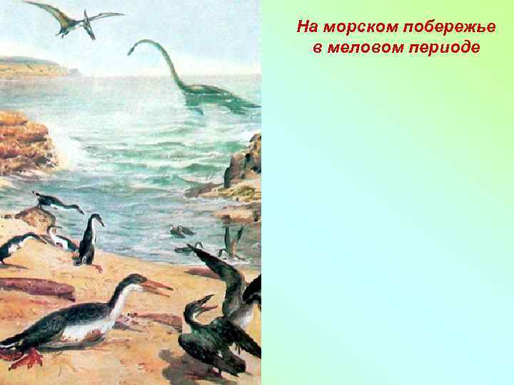 На морском побережье в меловом периоде 