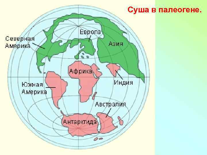 Суша в палеогене. 