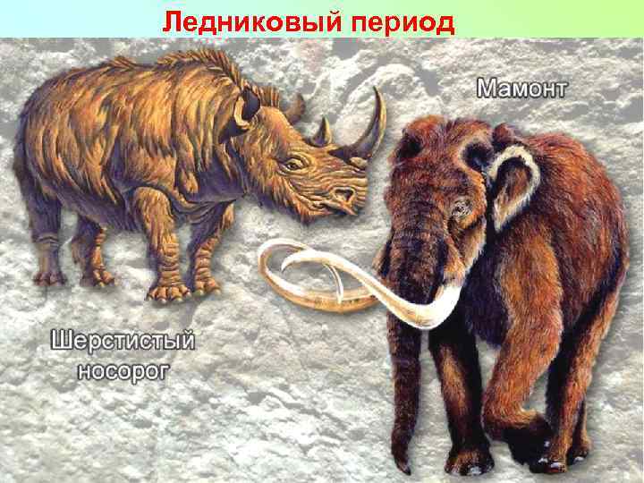 Ледниковый период 