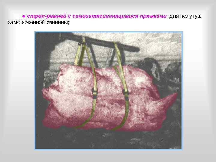  ● строп-ремней с самозатягивающимися пряжками для полутуш замороженной свинины; 