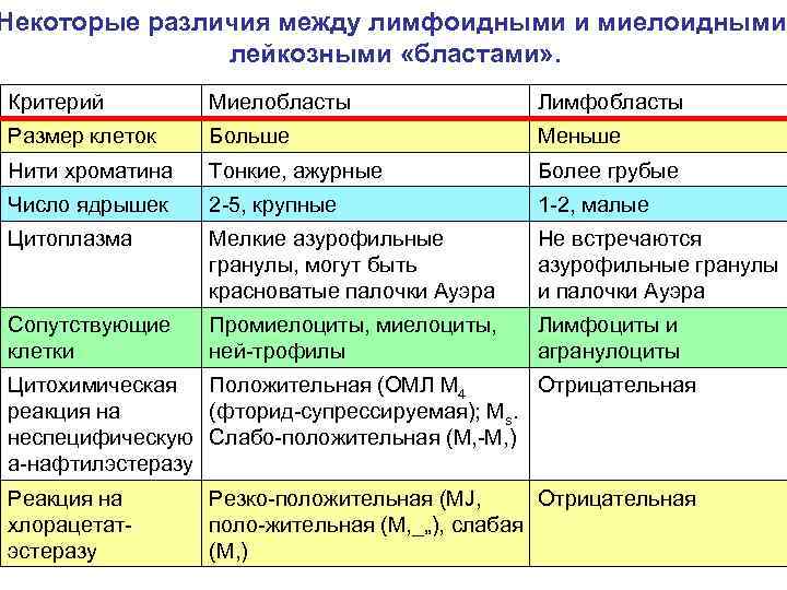 Некоторые различия между лимфоидными и миелоидными лейкозными «бластами» . Критерий Миелобласты Лимфобласты Размер клеток