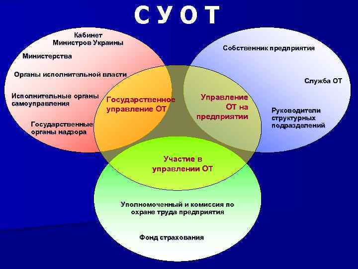 CУОТ Кабинет Министров Украины Собственник предприятия Министерства Органы исполнительной власти Исполнительные органы самоуправления Государственные