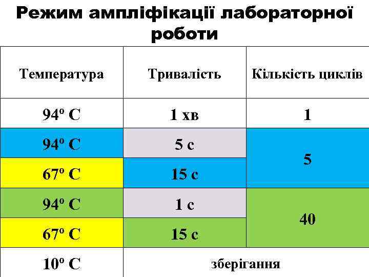 Режим ампліфікації лабораторної роботи Температура Тривалість Кількість циклів 94º С 1 хв 1 94º