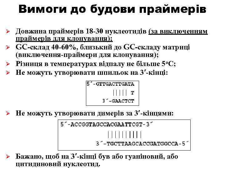 Вимоги до будови праймерів Ø Довжина праймерів 18 -30 нуклеотидів (за виключенням праймерів для