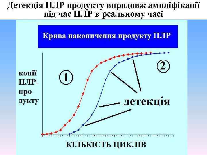 Детекція ПЛР продукту впродовж ампліфікації під час ПЛР в реальному часі 