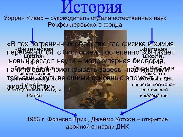 Уоррен Уивер – руководитель отдела естественных наук Рокфеллеровского фонда «В тех пограничных областях, где