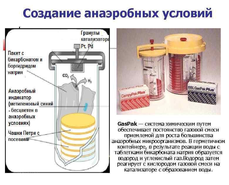 Генератор анаэробной атмосферы