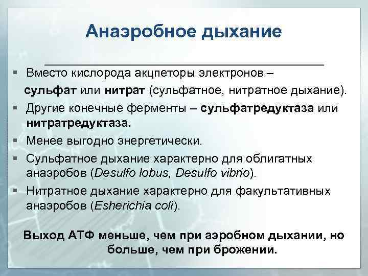 Анаэробное дыхание Вместо кислорода акцпеторы электронов – сульфат или нитрат (сульфатное, нитратное дыхание). Другие