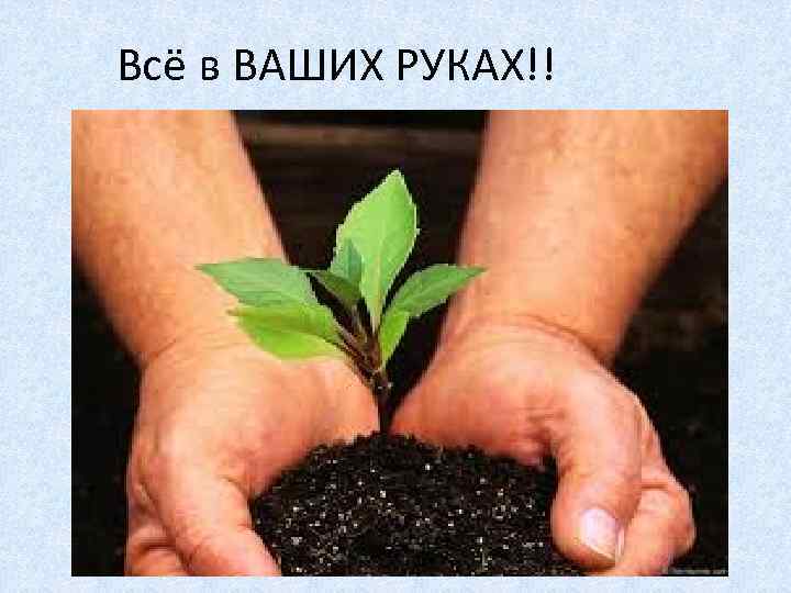 Всё в ВАШИХ РУКАХ!! 