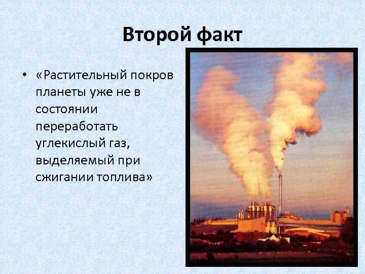Второй факт • «Растительный покров планеты уже не в состоянии переработать углекислый газ, выделяемый