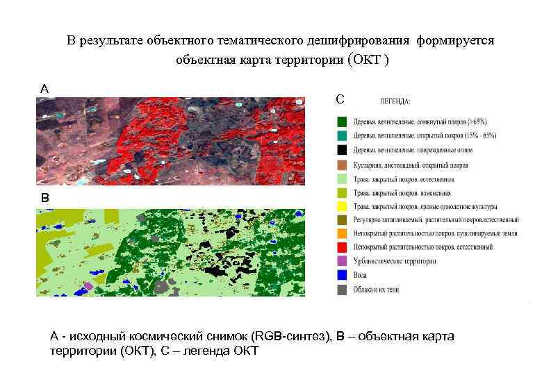 В результате объектного тематического дешифрирования формируется объектная карта территории (ОКТ ) А С В