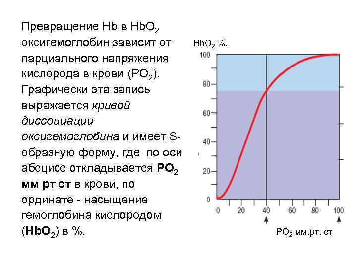 Превращение Hb в Hb. O 2 оксигемоглобин зависит от парциального напряжения кислорода в крови