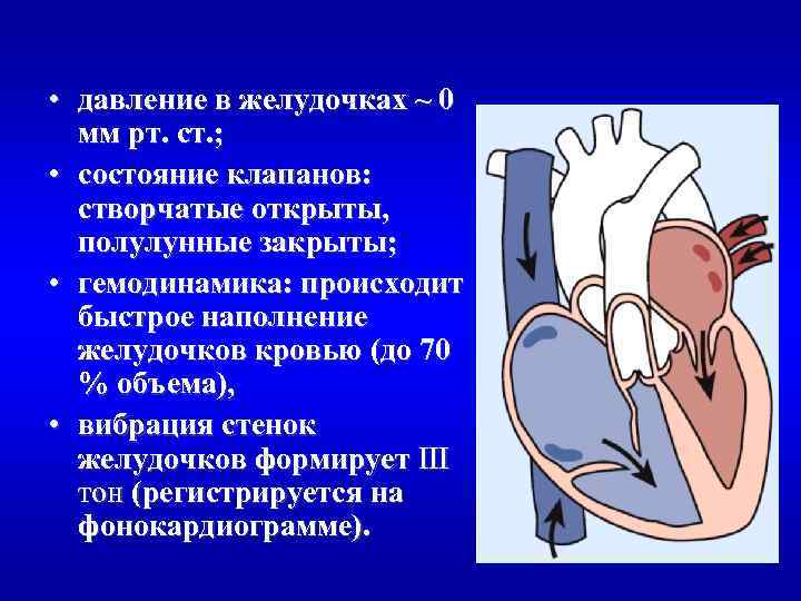  • давление в желудочках ~ 0 мм рт. ст. ; • состояние клапанов: