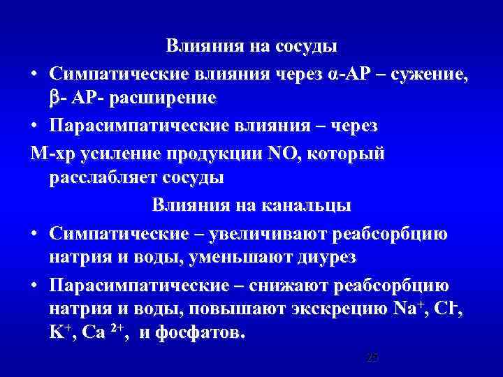 Влияния на сосуды • Симпатические влияния через α-АР – сужение, - АР- расширение •