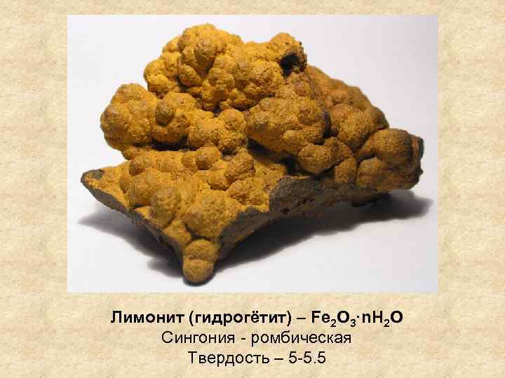 Лимонит (гидрогётит) – Fe 2 O 3·n. H 2 O Сингония - ромбическая Твердость