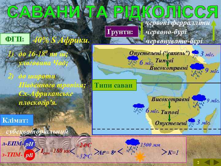 ФГП: Ґрунти: 40% S Африки. 1) до 16 -180 пн ш; улоговина Чад; Опустелені