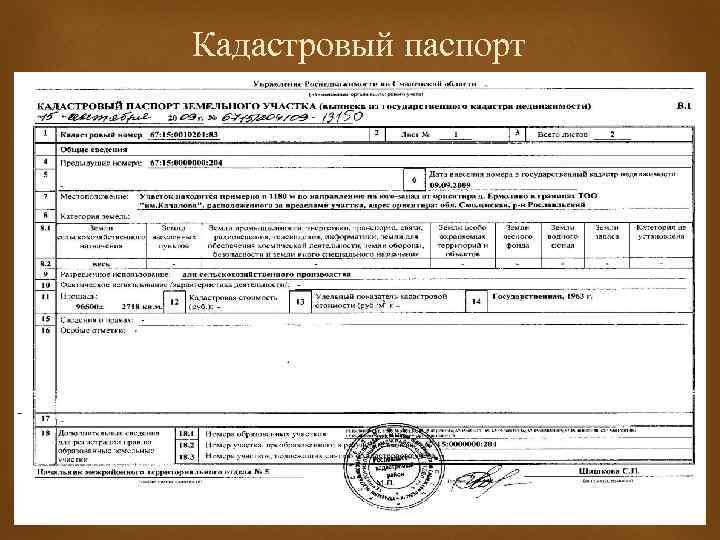 Кадастровый паспорт 